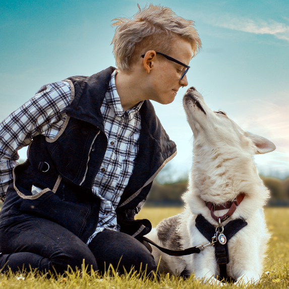 White Husky dog sniffing trainer Jasper
